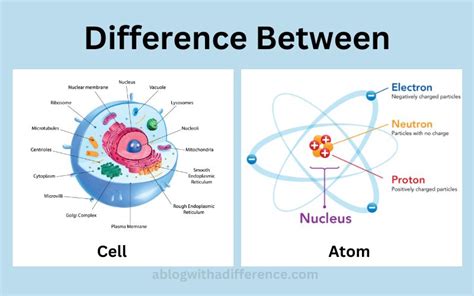 4 in what way are cells similar to atoms